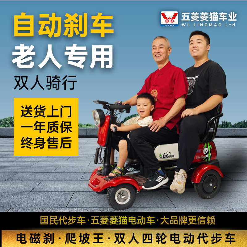 五菱菱猫新款老年人接送孩子代步车四轮电动车老人电动代步车双人