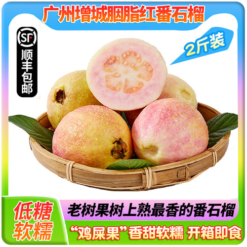 增城胭脂红番石榴鸡屎果香甜软糯