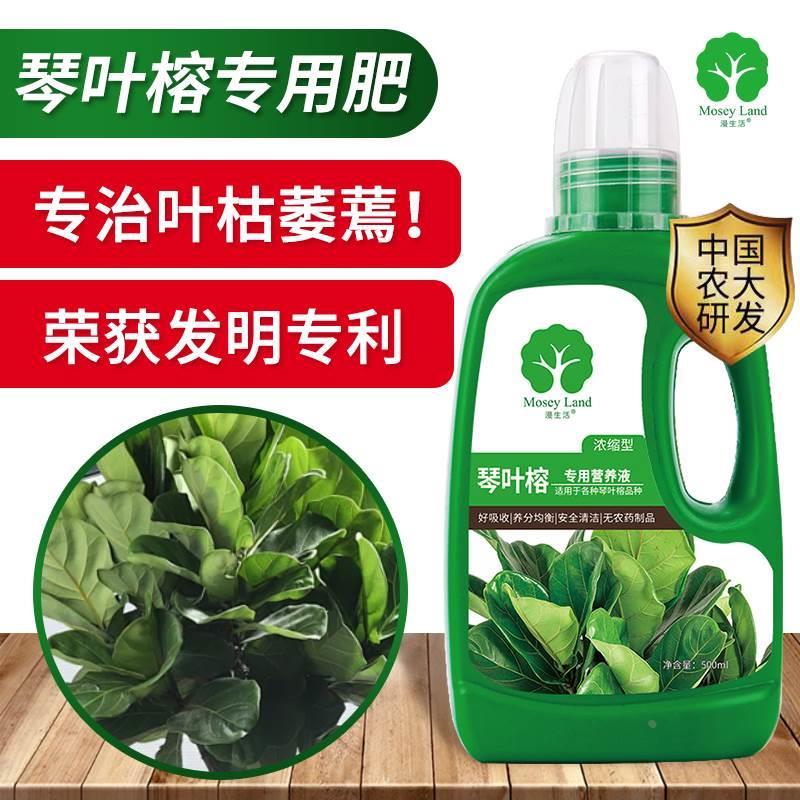琴叶榕肥料琴叶榕专用肥料营养液琴叶榕盆栽专用土营养土改善黄叶