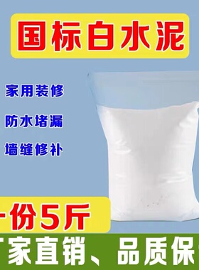国标525白水泥家用防水防霉瓷砖填缝堵洞补墙地漏速干白色水泥胶