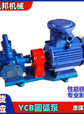 润滑油圆弧齿轮泵YCB10-0.6管道输送双圆弧铸铁齿轮泵电动机油泵