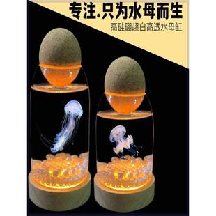 水母生态缸斗鱼缸生态瓶造景客厅桌面宠物卧室观赏鱼缸养殖水族箱