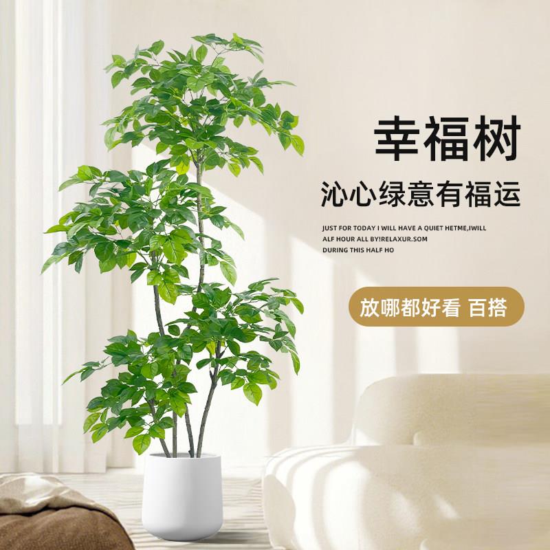 彷真绿色植物幸福树客厅大型盆栽室内轻奢装饰花彷生植物落地摆件