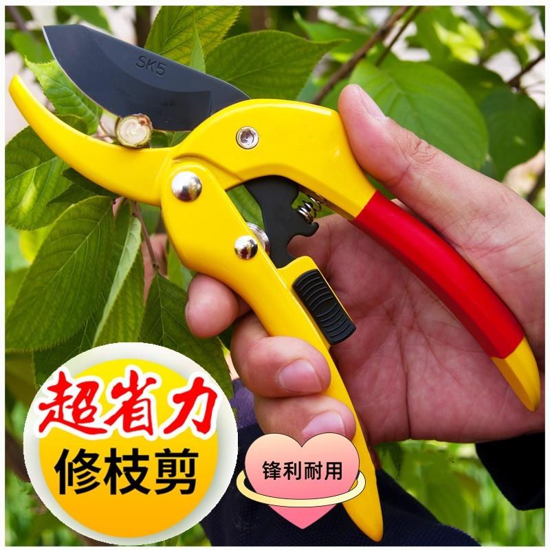 园艺修枝剪树枝剪刀进口果树修剪树枝用园林工具花剪花艺修枝剪子