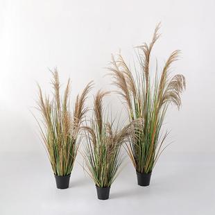 仿真绿植芦苇草盆景婚礼路引装饰假花植蒲苇草盆栽香蒲草工厂