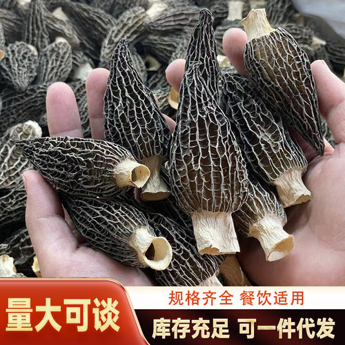 羊肚菌干货云南原产地5-8cm头茬