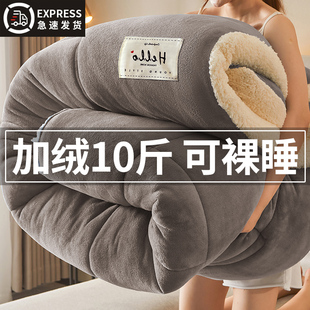 牛奶羊羔绒毛毯加厚保暖冬季被子午睡沙发盖毯被芯棉被冬被春秋被
