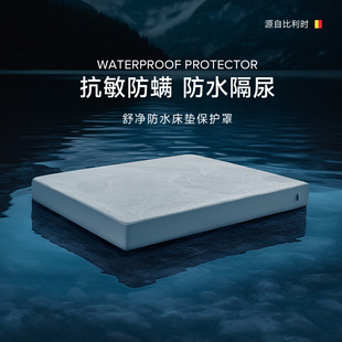 贝卡特德思丽益生菌防螨床笠罩席梦思床垫保护套全包防水床笠隔脏