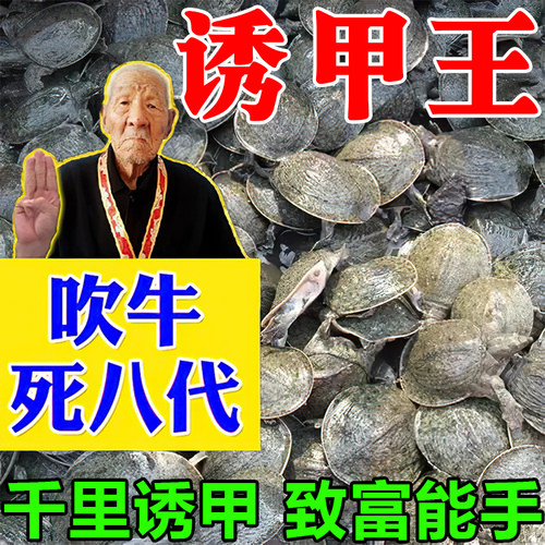 甲鱼饵料捕捉老鳖王八乌龟专用