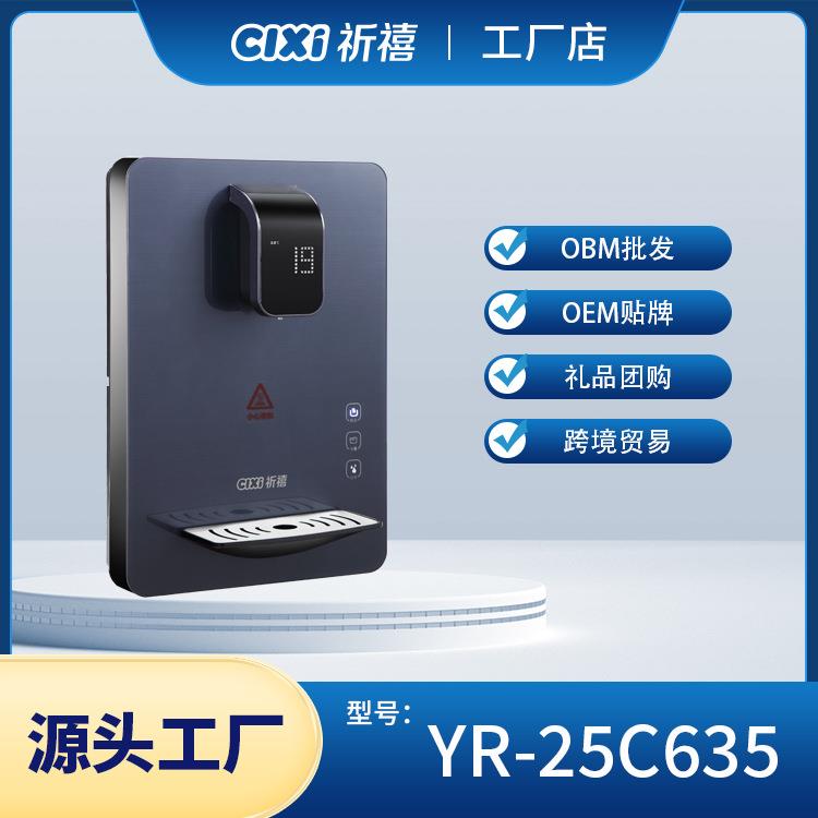 祈禧高端速热秒沸可触摸可调温直饮机家用壁挂式管线机饮水机
