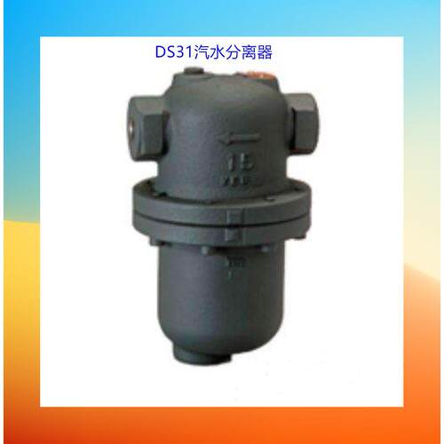DS汽水分离器螺纹蒸汽汽水分离器管道汽水分离器AS法兰汽水分离器