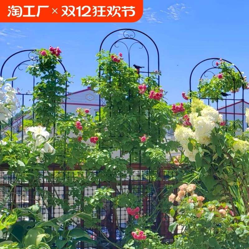 户外铁艺庭院栅栏花架铁线莲蔷薇月季植物爬藤架绿萝撑杆支架阳台