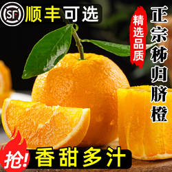 正宗秭归脐橙10斤整箱大果礼盒新鲜水果纽荷尔甜橙当季果冻手剥橙