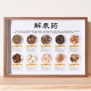 伤寒论中药标本展示中药材标本装饰画中草药标本相框中医文化墙