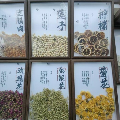 中草药展示中医文创装饰品养生馆diy中药材标本框药房医院