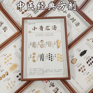 中医药材挂画成品中药橱窗展示儿童中医道具中医馆文创产品中药墙