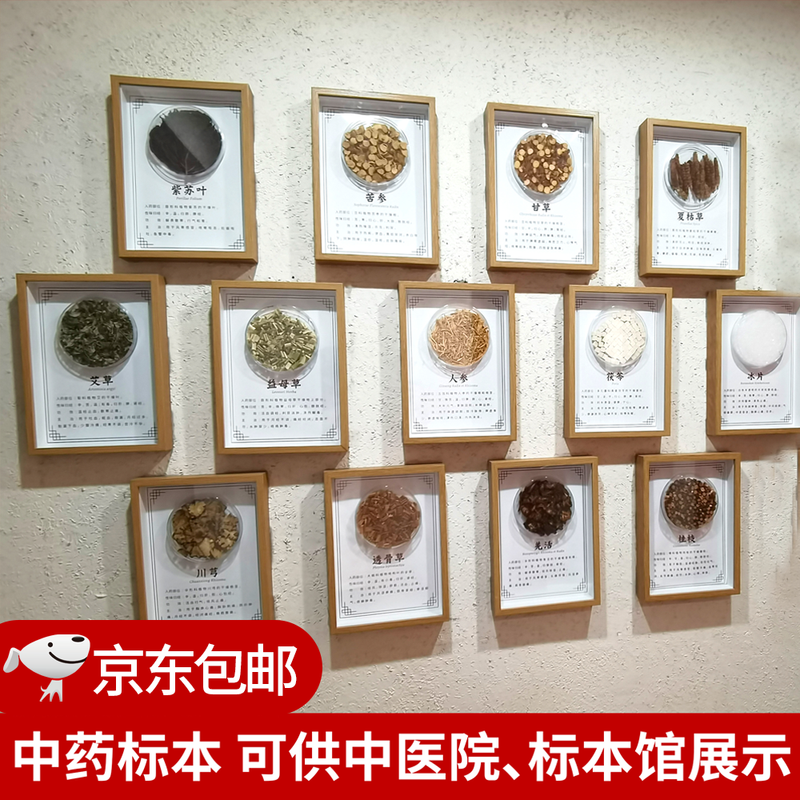 中药标本展示墙中药材标本装饰画中草药标本相框中医标本文化344