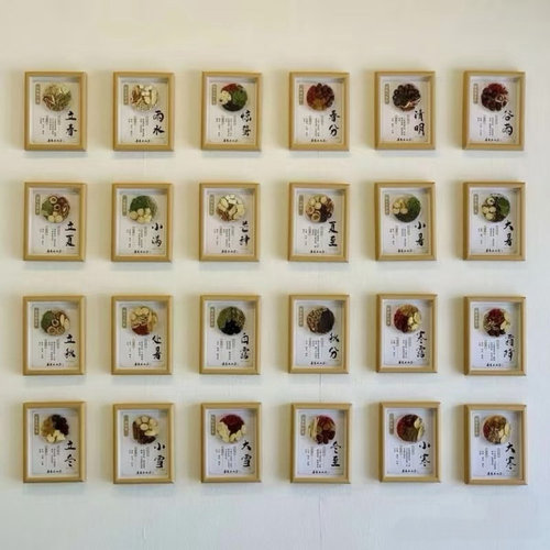24节气装饰物美食城原材料展示墙中医名医馆展陈中草药挂图中药图