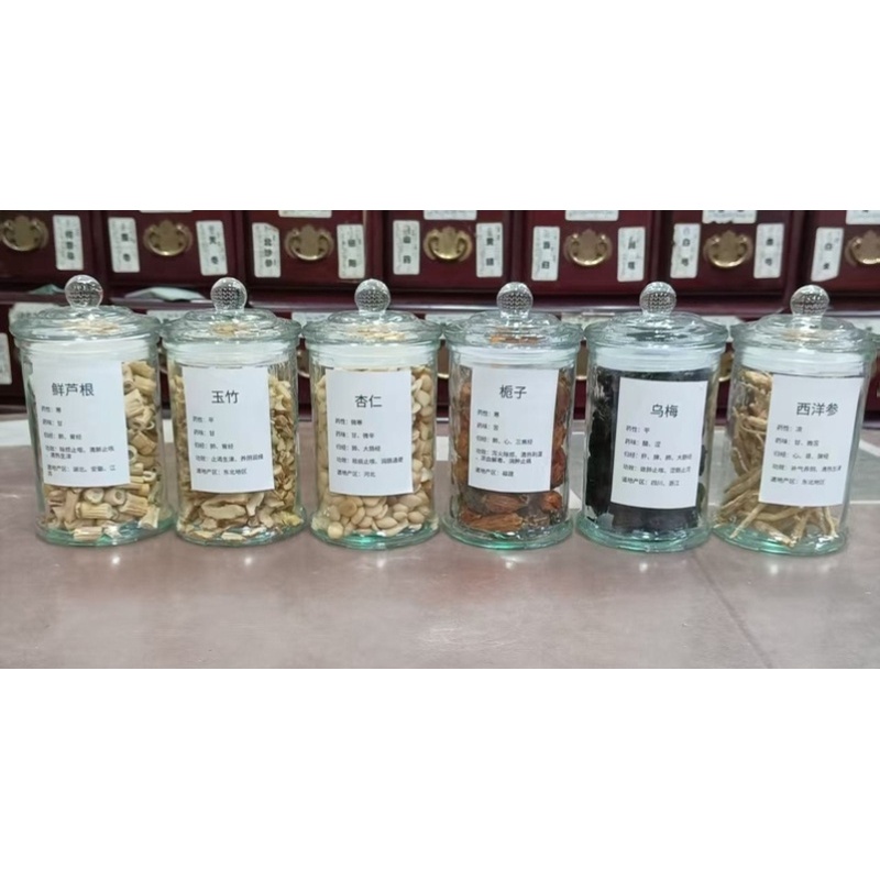 中草试验样品月子中心药食展示中草药教室布置中药摆盘中药材diy