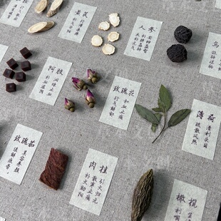 药源墙中草药拼贴画中药师手工diy材料包中草药玩教具中药摆盘