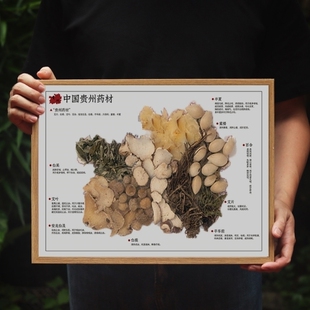 中草药地图中医学生中药打卡墙标本收集册横框黄连框定制