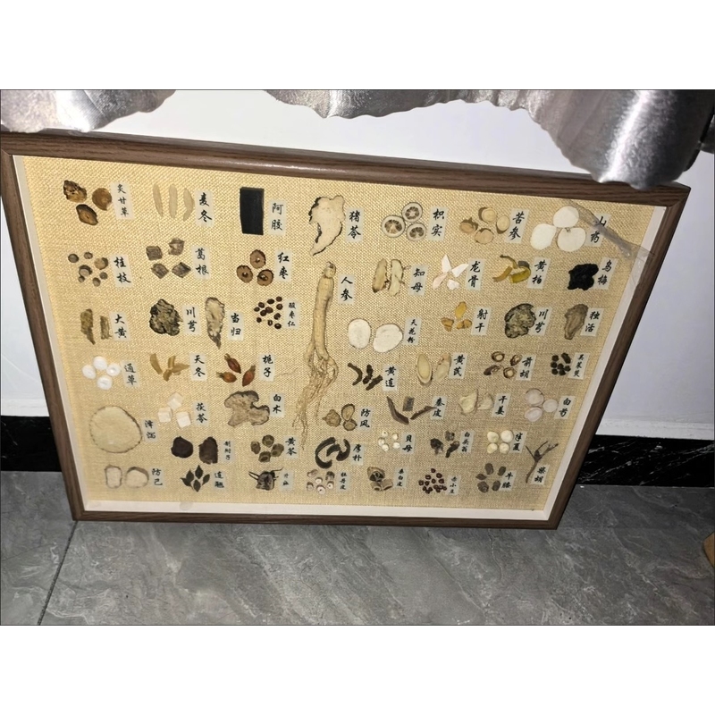 中药材标本画框中药装饰品养生标本画框中医学生礼物中医药摆台