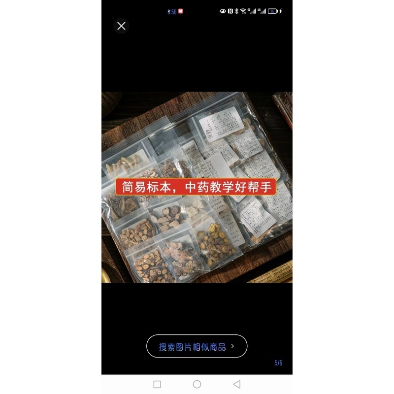 中医药材标本茯苓医院ins风加工真假面膜汤剂打造简约本草药物画