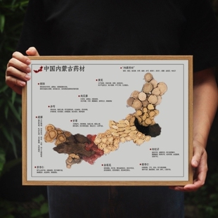 中药地图装 饰画药品展示墙陈列配饰中医研学道具药拍照壁画画