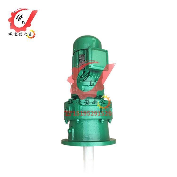 江苏泰兴泰星牌泰隆牌立式摆线针轮减速机BLD9115B