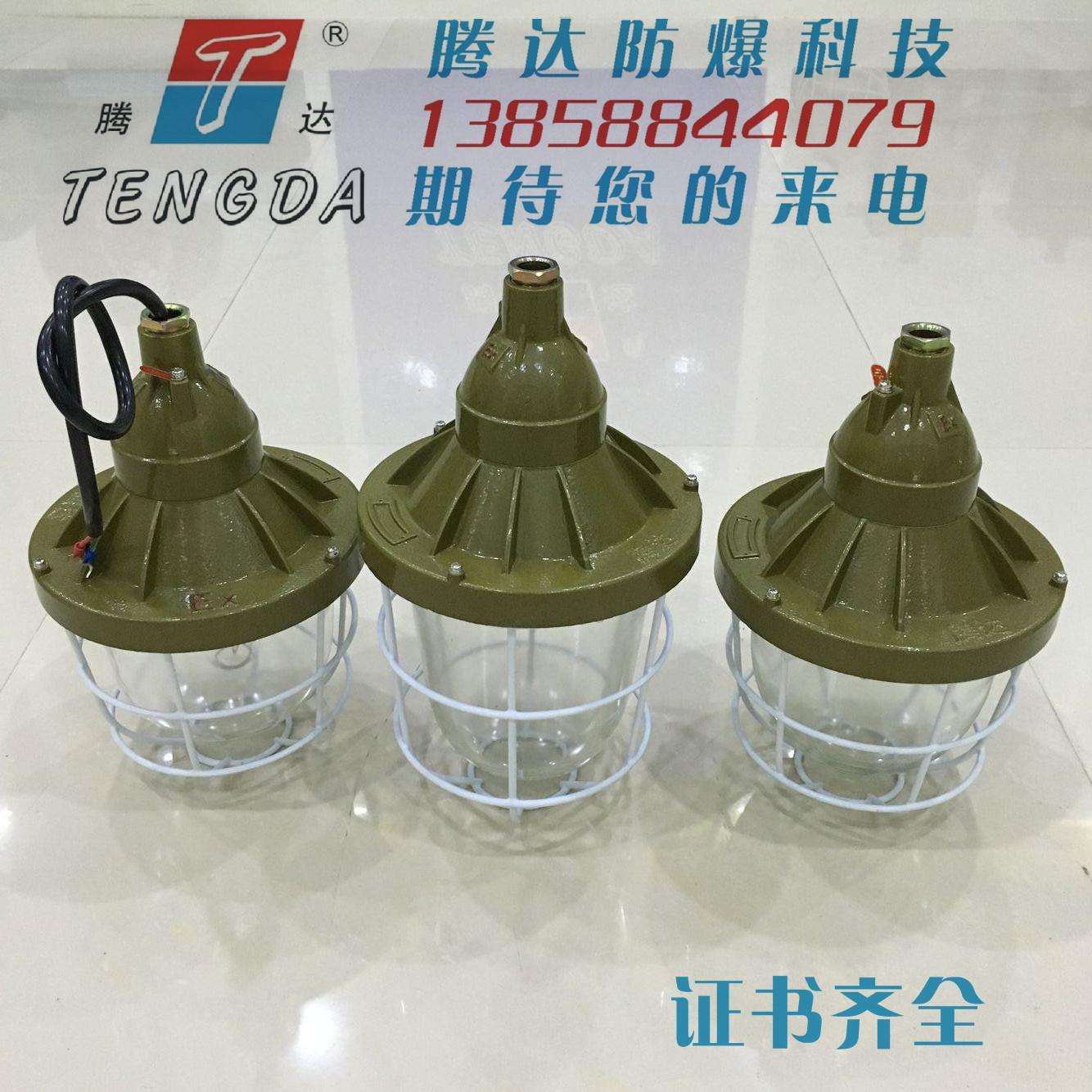 250w防爆灯外壳化工厂用防爆灯罩隔爆节能型工厂灯圆形E27灯头图片