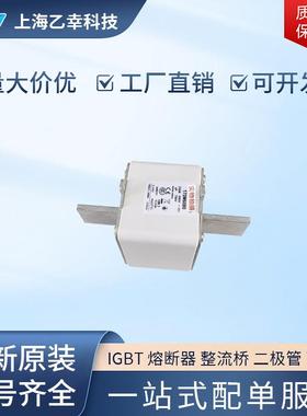 巴斯曼熔断器170M6020170M6021170M6028170M6029170M6035