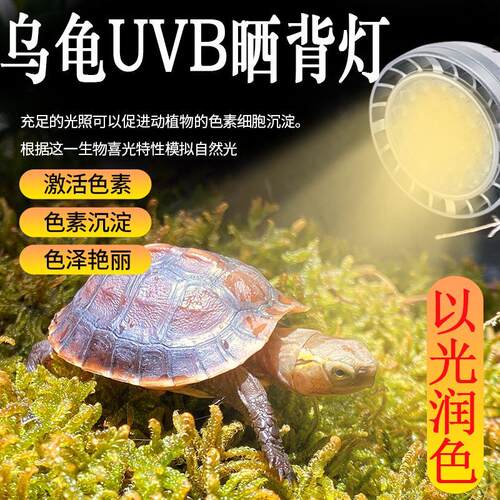 乌龟晒背灯UVB晒龟灯UVA紫外线灯蜥蜴太阳光晒灯乌龟阳光灯