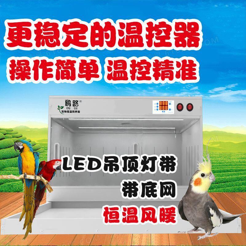 鹦鹉育雏箱恒温保温箱风暖恒温保温箱带LED照明保温箱爬宠保温箱
