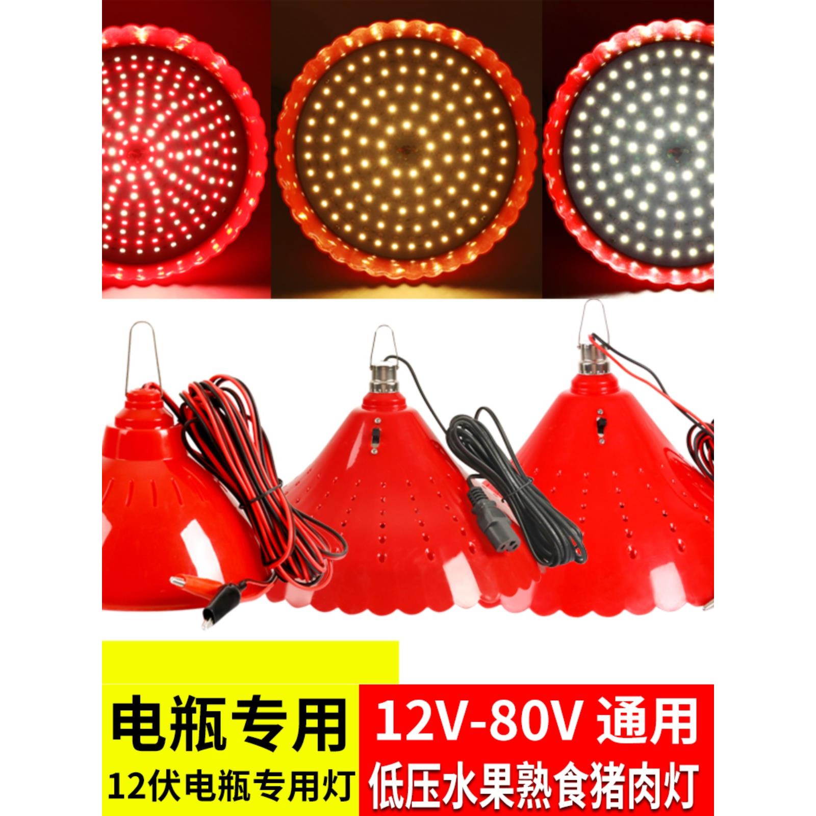 led生鲜灯低压12V猪肉灯夜市摆地摊调光水果灯卤菜电瓶48V熟食灯