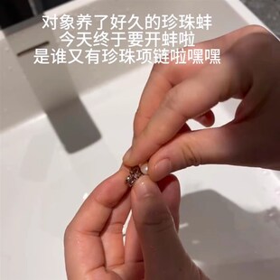 热销贝壳开蚌珍珠活蚌自r己开盲盒易拉罐河蚌diy吊坠项链礼盒淡水