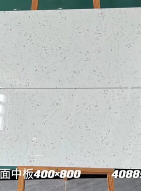 热销热销40b0x800彩色亮光水磨石瓷砖厨房卫生间全瓷墙砖灰色抛光
