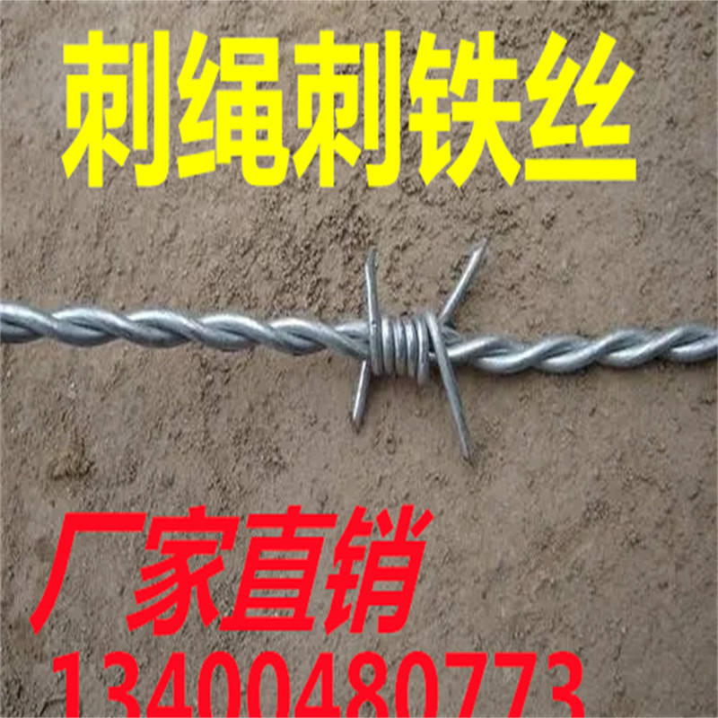 热销上海钢丝刺绳热镀锌围墙护栏网刺铁丝铁蒺藜隔离防爬防盗铁丝