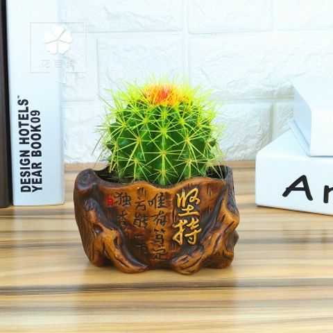 仙人球盆栽室内办公室桌面小绿植可爱植物好养易成活多肉趣味观赏