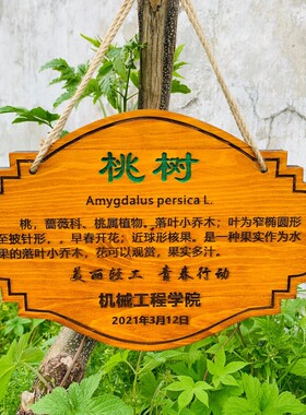 定制实木标识牌挂牌户外幼儿园介绍牌认养简介植物悬挂式树牌木质