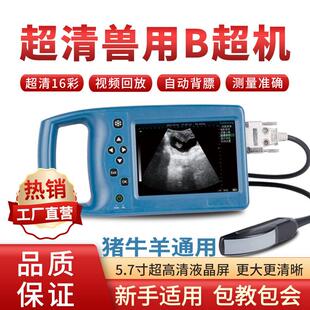 兽用B超机高清伪彩b超机猪牛马羊通用检测怀孕背膘仪检查养殖B超