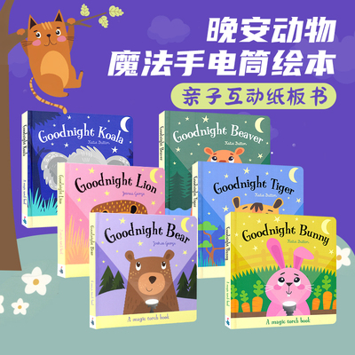 魔法手电筒儿童读物原版书