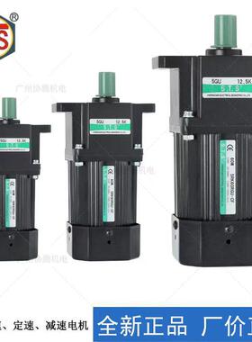 STS台湾成钢电机5IK40 5RK60 90 120 RGN RGU-CF减速220V交流马达