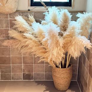 蒲苇干花苇蒲芦苇摆件客厅室内家居永生花装饰仿真花落地成品花束