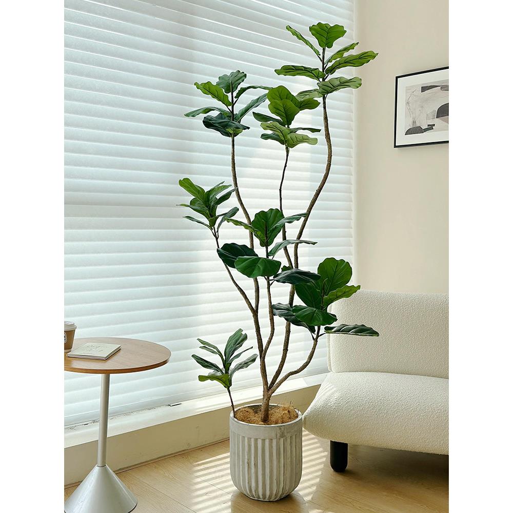 娄霞的模拟绿色植物叶子榕树室内客厅装饰假树盆景经典易接近的豪