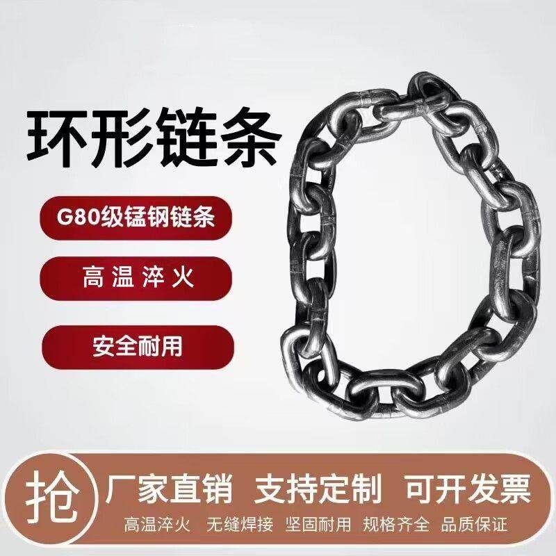 起重炼条环形吊炼国标G80锰钢炼条葫芦炼条吊装炼铁炼 炼 吊索具,搬运/仓储/物流设备,起重链条,淘宝优惠券,粉丝福利购,淘宝优惠卷