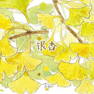 基研所 银杏 和纸/PET胶带 玛仕金承制 10米卷