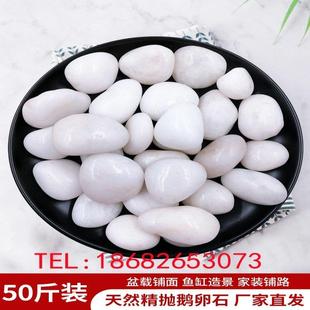 西藏50斤白色鹅卵石子石头天然原石园林庭院铺地鱼缸室内造景