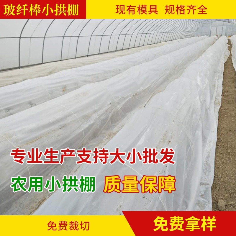 热销小拱棚支架拱杆支撑温室大棚育苗室外塑料避雨棚插地蔬菜棚架