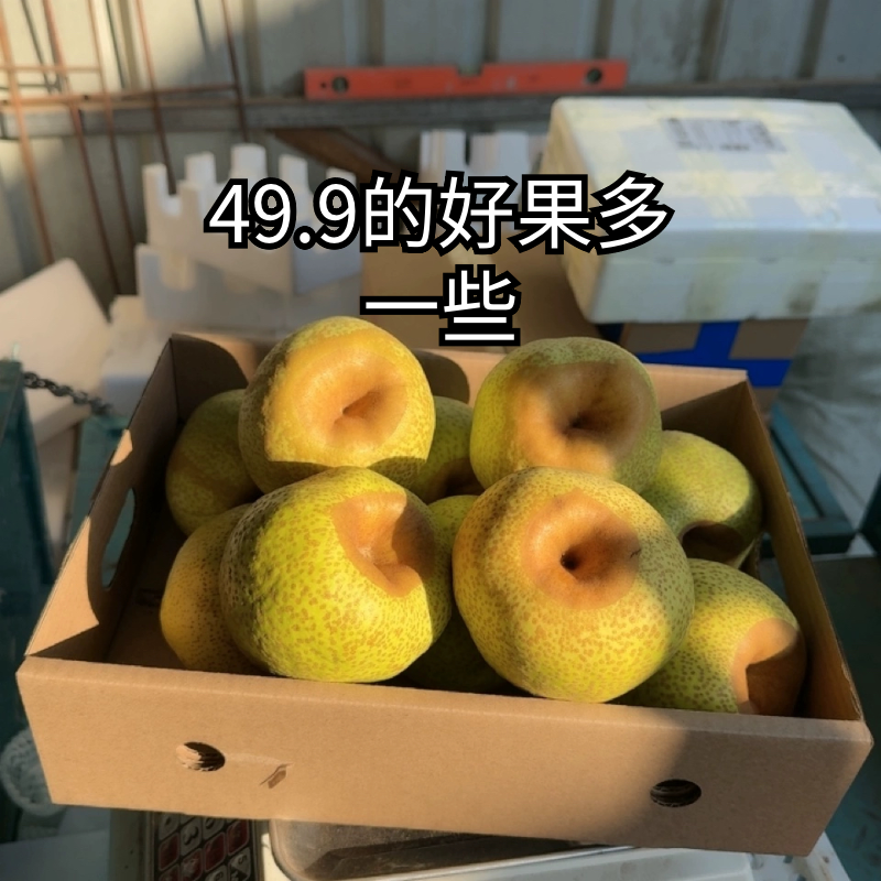 莱阳梨茌梨慈梨微瑕49.9有好果可生吃39.9是硬果戳伤熬膏入药熬粥,水产肉类/新鲜蔬果/熟食,梨,淘宝优惠券,粉丝福利购,淘宝优惠卷