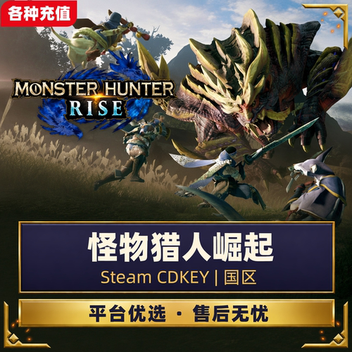 Steam正版怪物猎人崛起国区激活码CDKEY自动发货现货秒发电脑端